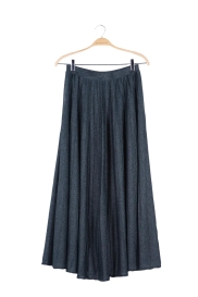 Pleated skirt IRIS Steel
