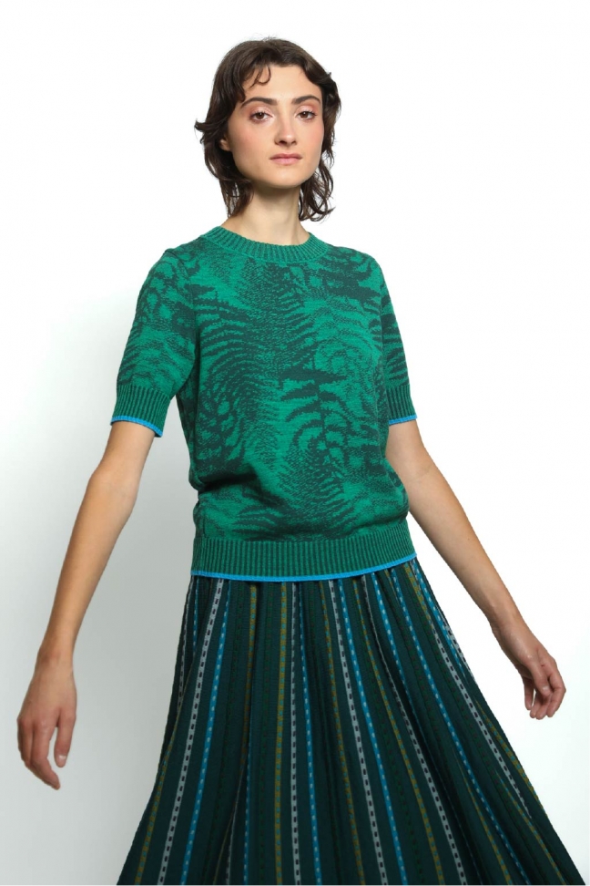 Top FERN vert