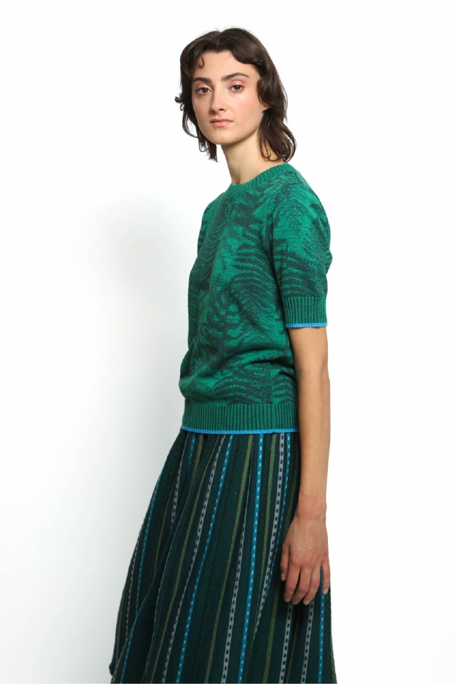 Top FERN vert