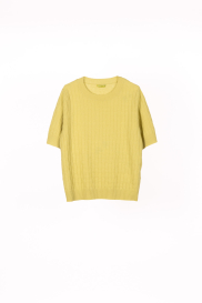 Top SIMILE yellow